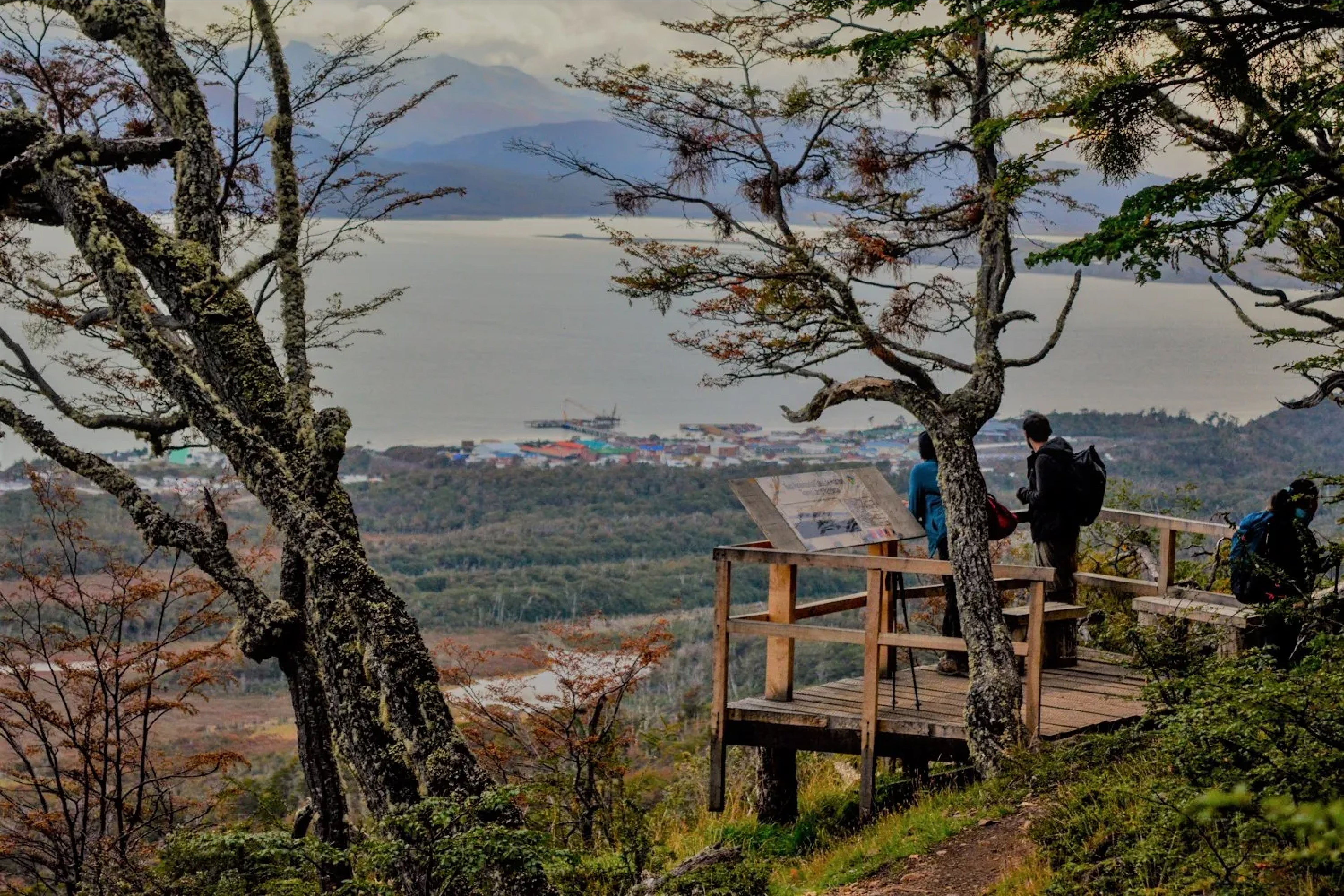 EL AUGE TURÍSTICO DE PUERTO WILLIAMS, LA CIUDAD MÁS AUSTRAL DEL MUNDO