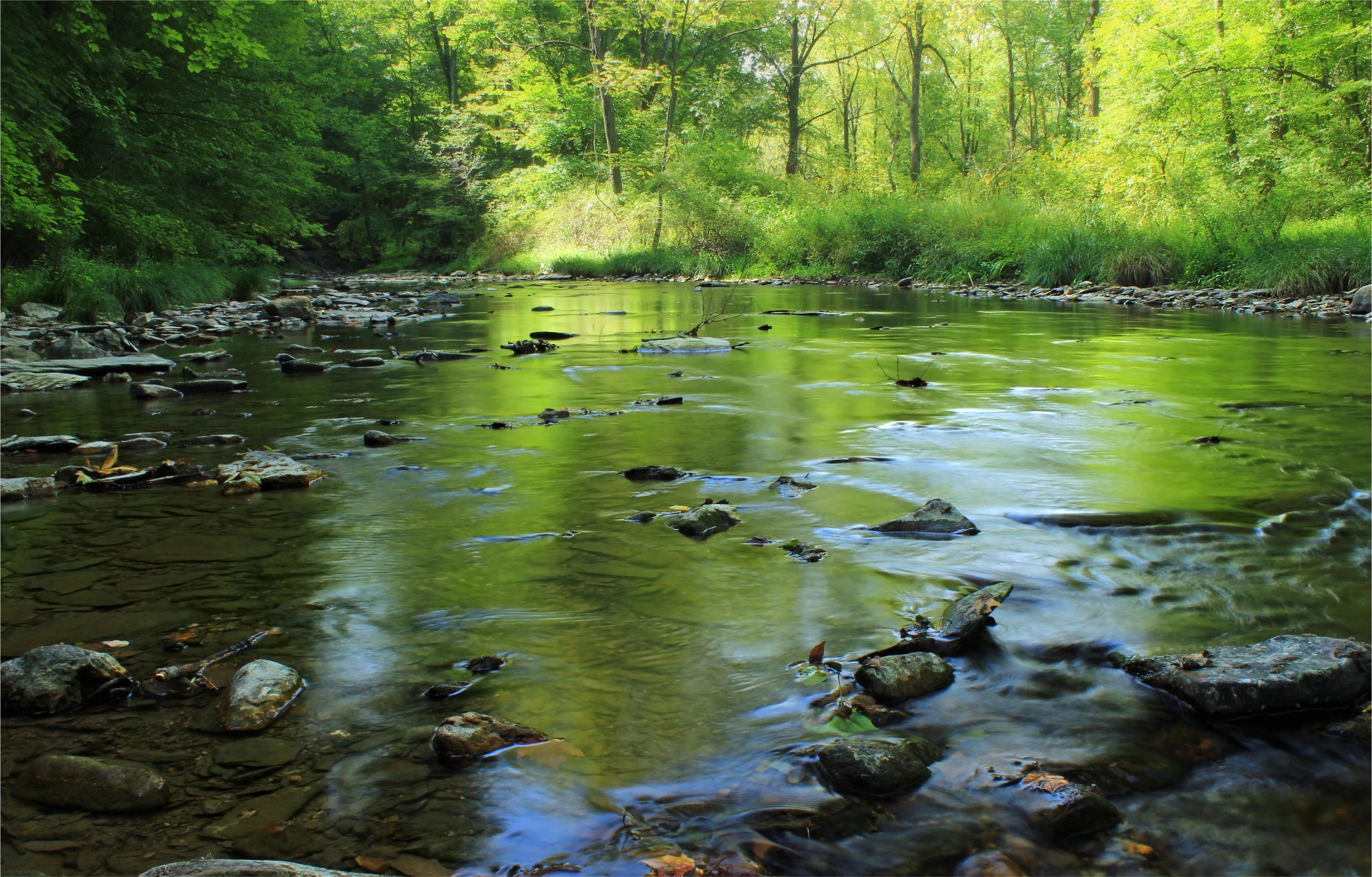 CELEBRAMOS TRES EFEMÉRIDES AMBIENTALES MUNDIALES: DÍA DE LA NATURALEZA, LOS BOSQUES Y DEL AGUA