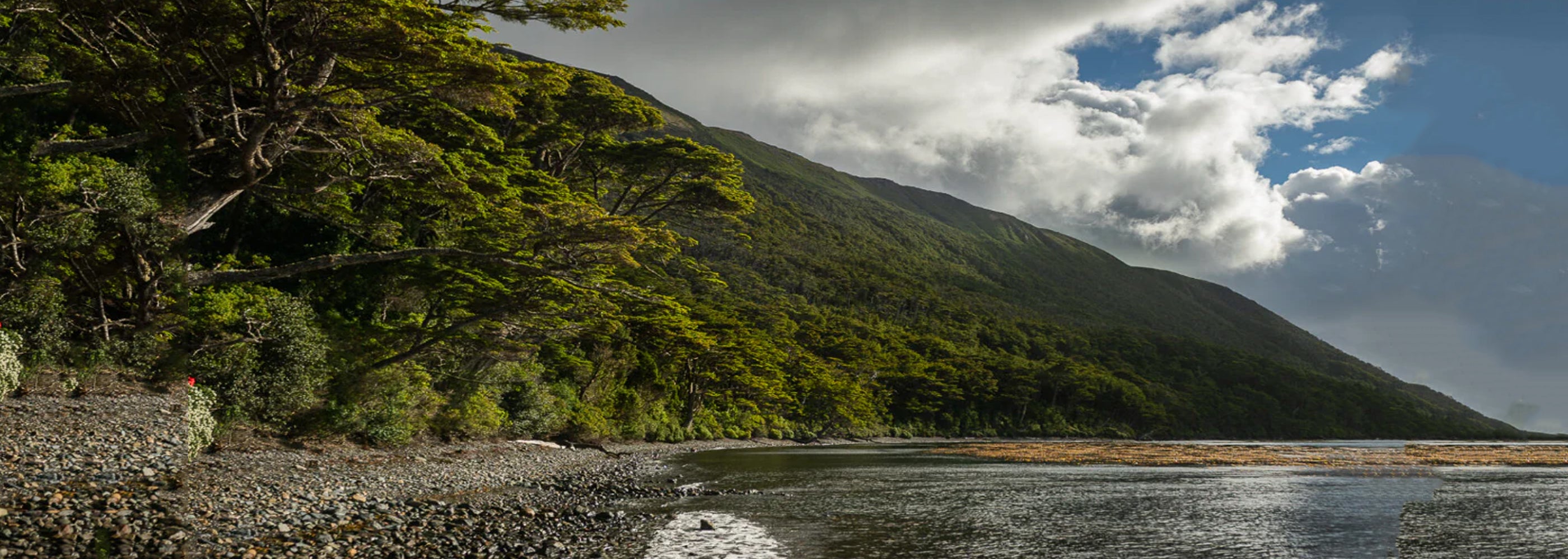 UN NUEVO PARQUE NACIONAL PARA MAGALLANES
