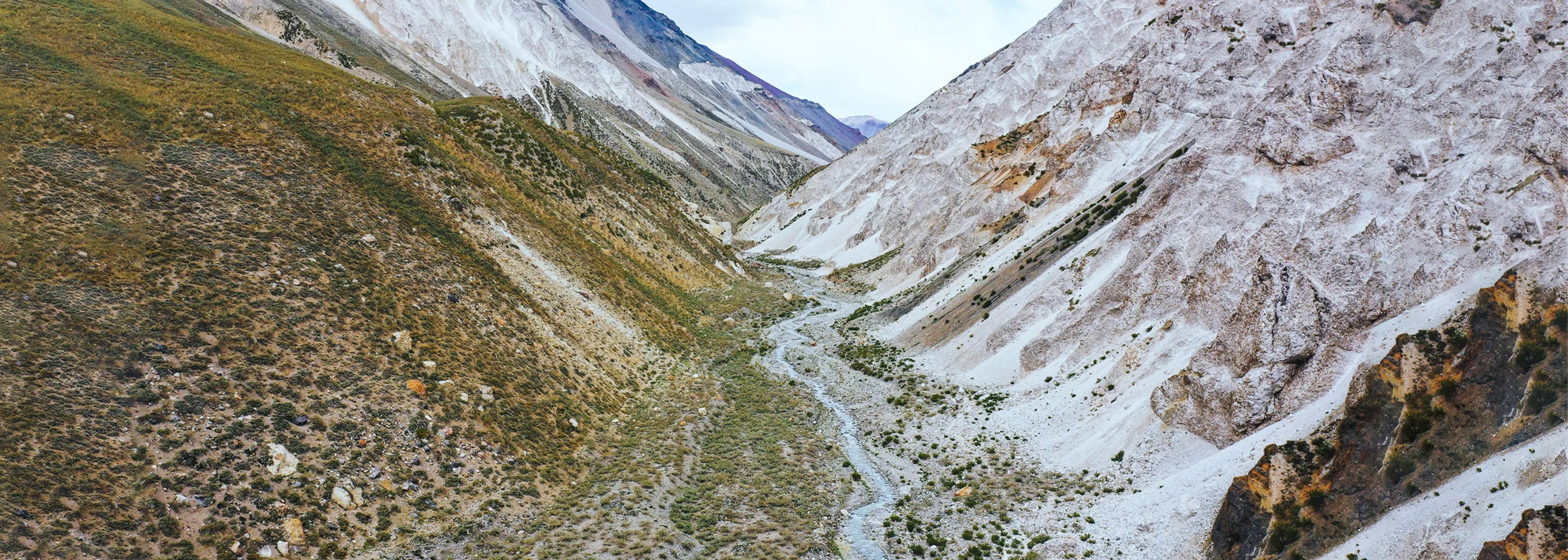 DECLARACIÓN DE NUEVOS SANTUARIOS DE LA NATURALEZA