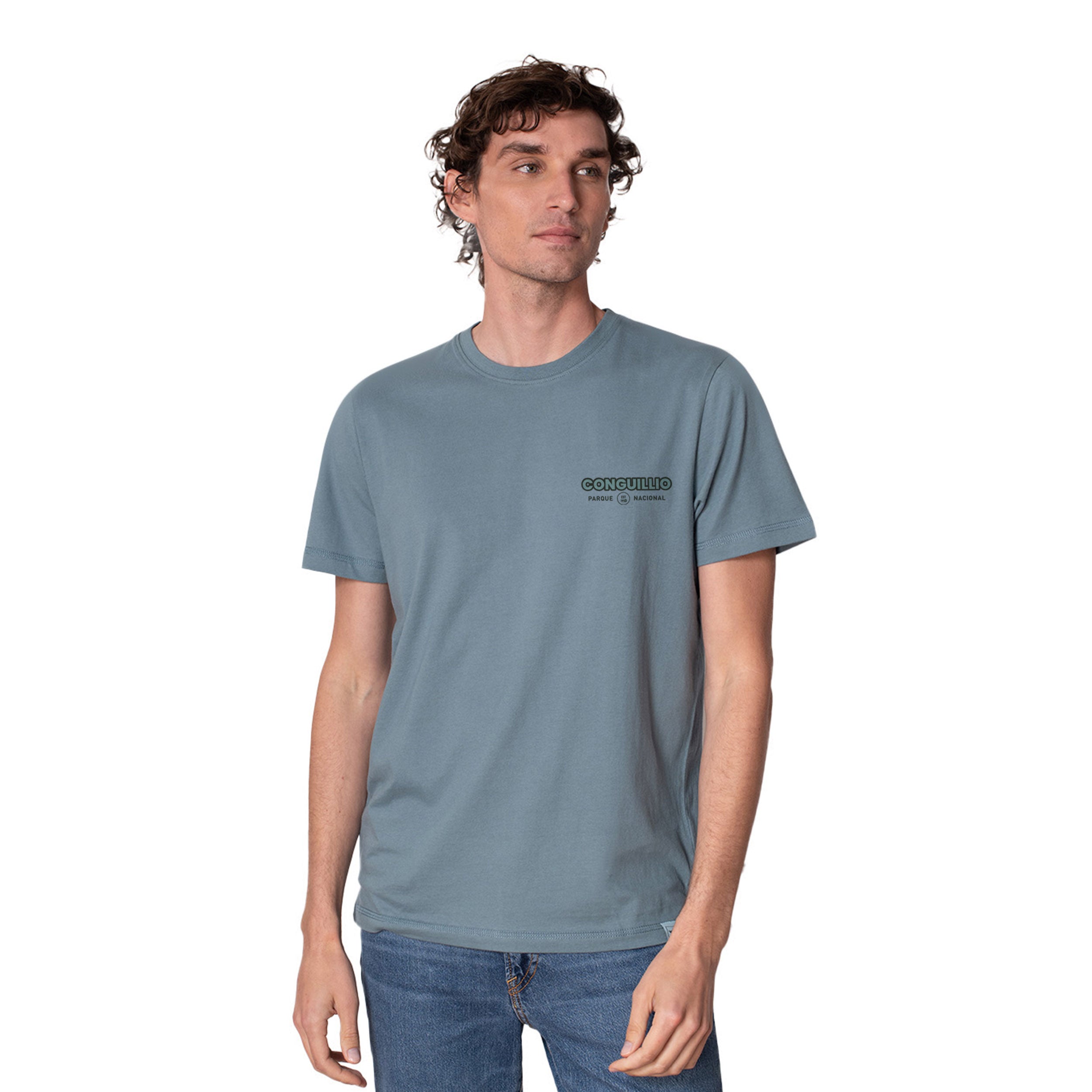 Polera Manga Corta Algodón Orgánico Parque Nacional Conguillío