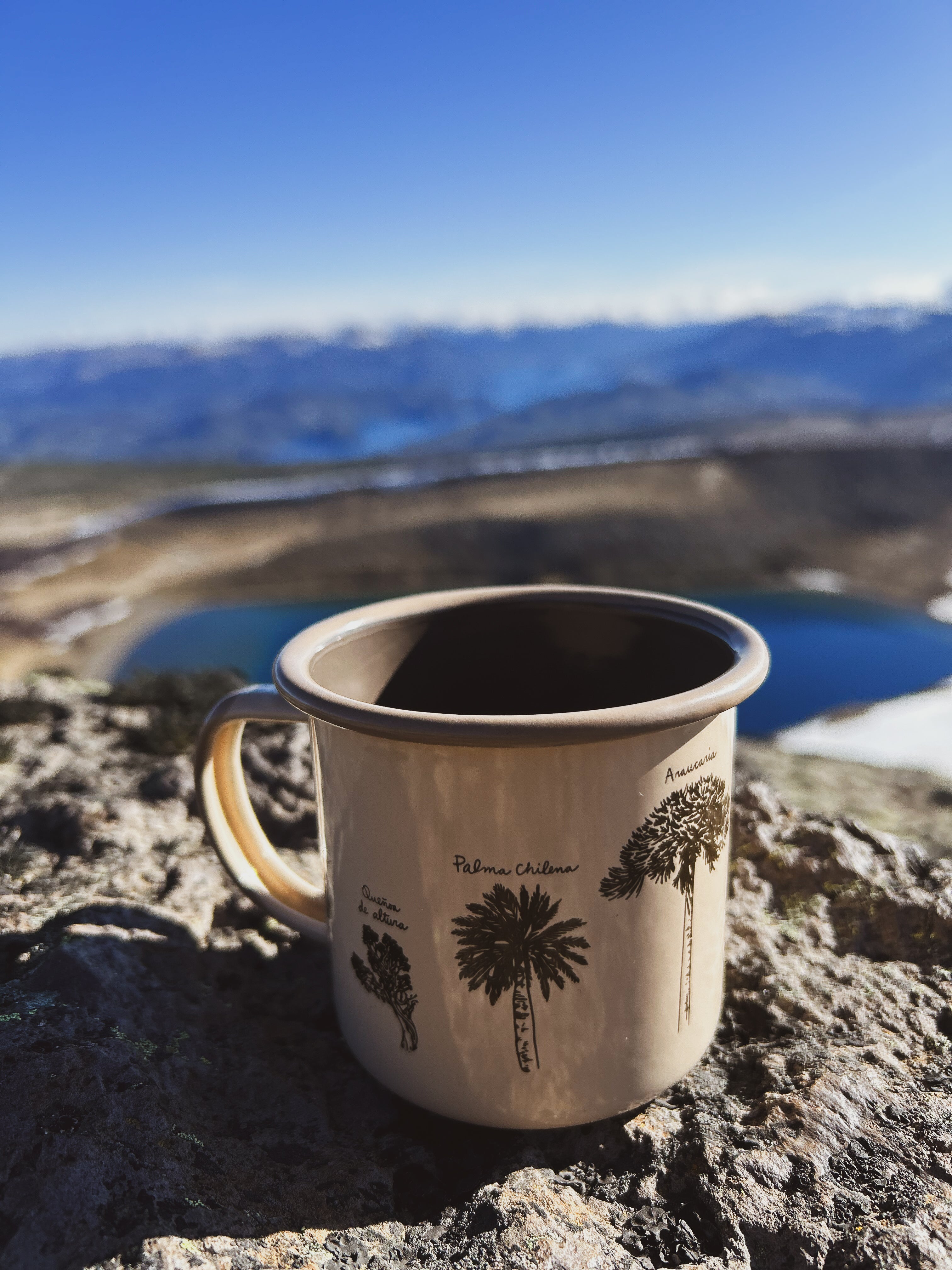 Tazón Mug Acero Esmaltado Flora Nativa de Chile 330ml