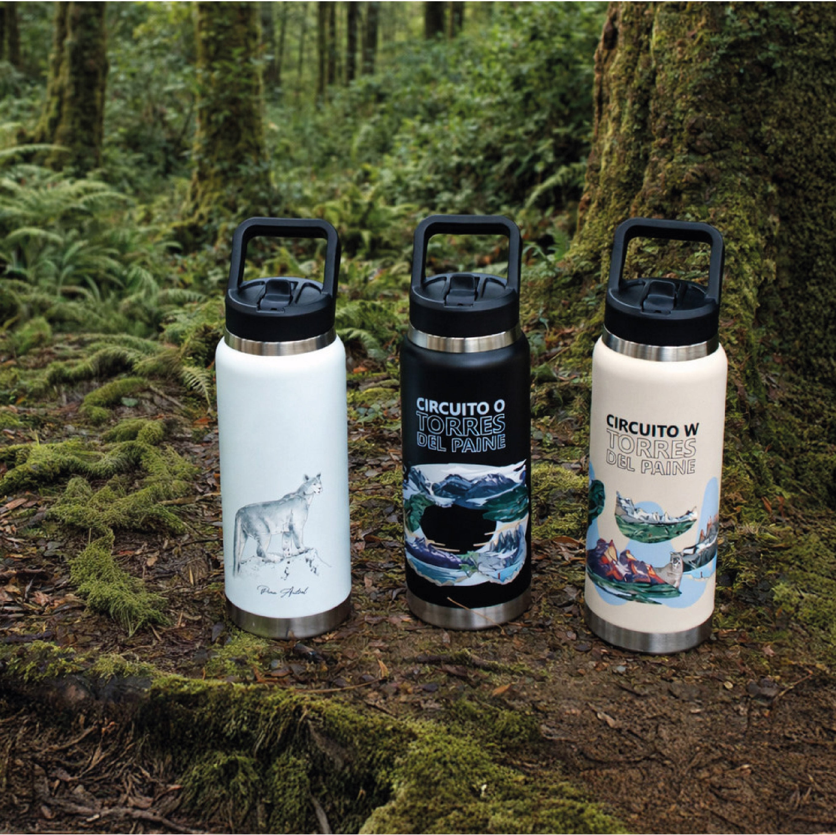 Botella Acero Inox 750ml - Circuito O Torres Paine