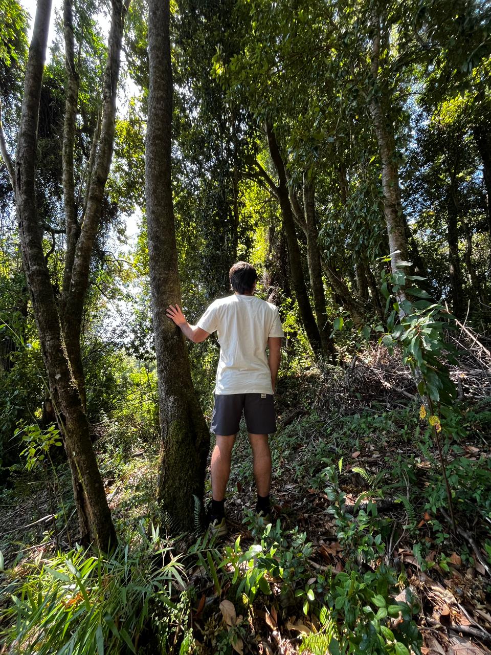 Short Hombre Dry-Trail Nylon spandex Ripstop Ritoque sustentable
