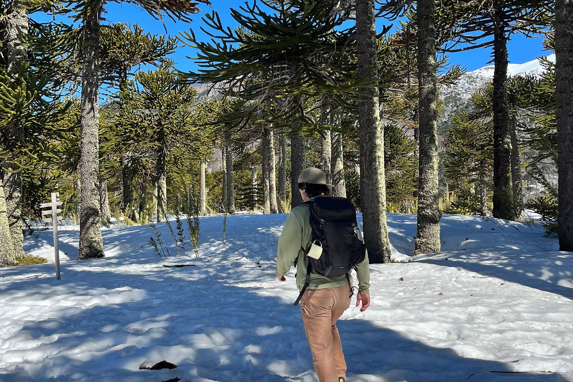 Guía para acampar seguro en el invierno chileno