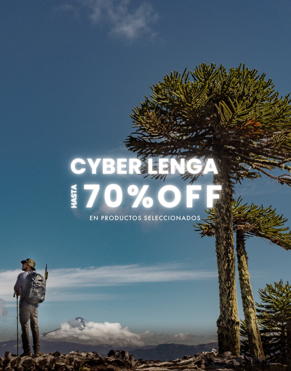 Cyber Lenga