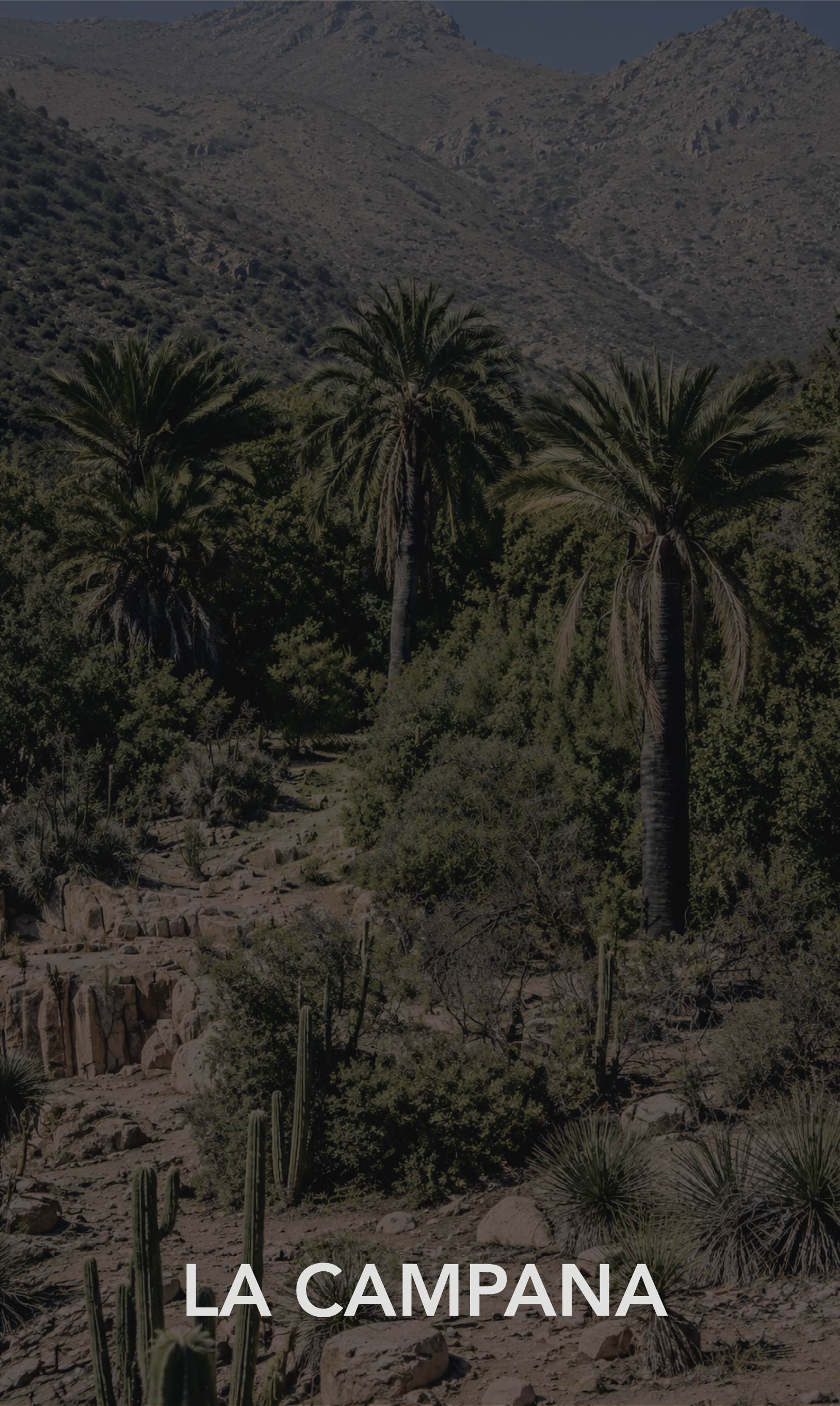 La Campana