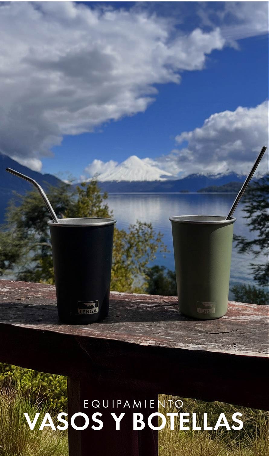 Vasos y Botellas