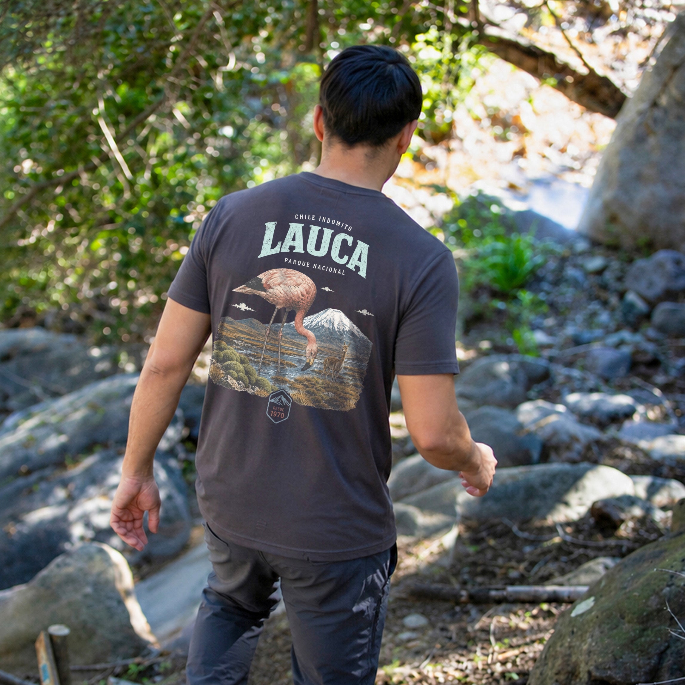 Polera Algodón Orgánico Lauca Chile Indómito