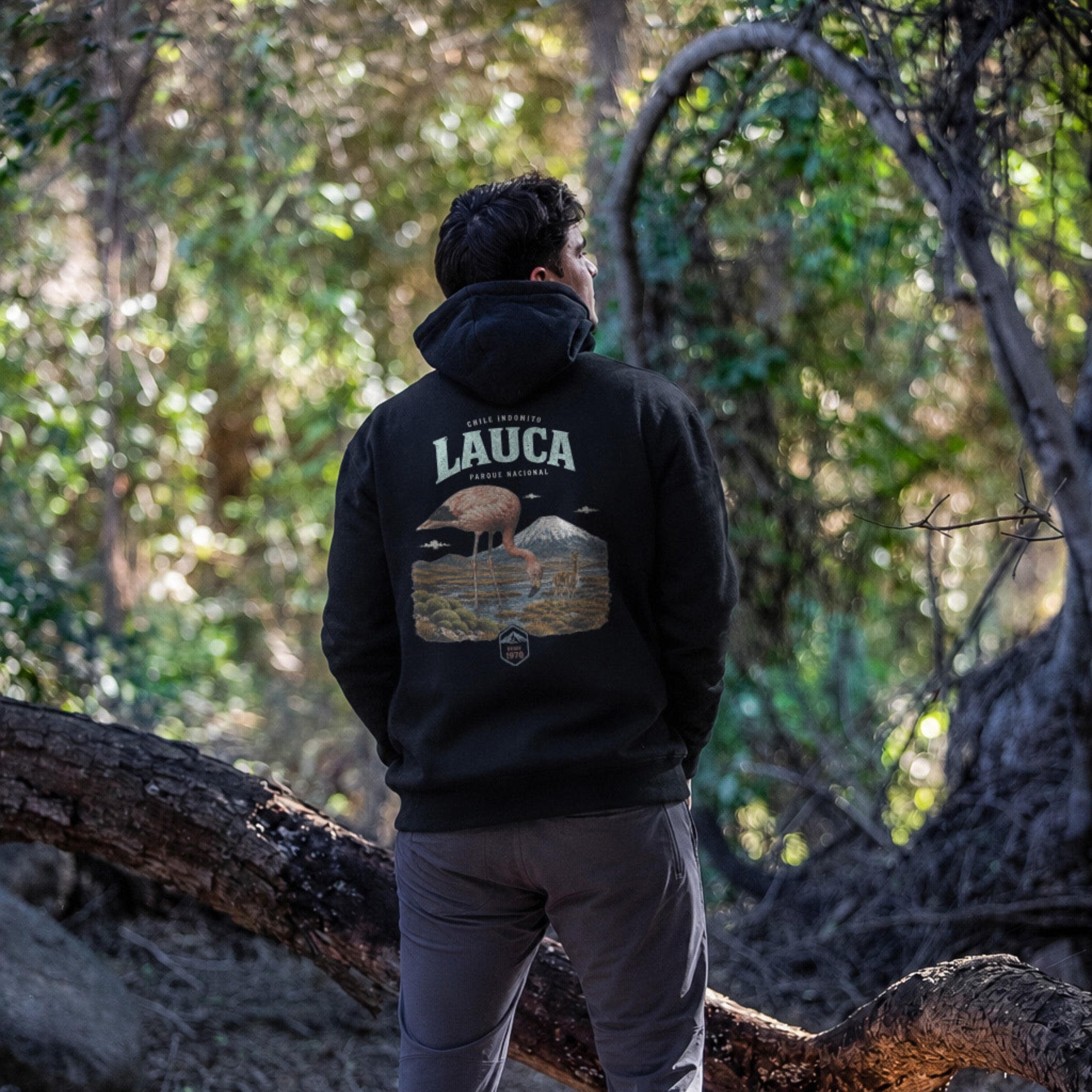 Polerón con gorro Lauca Chile Indómito