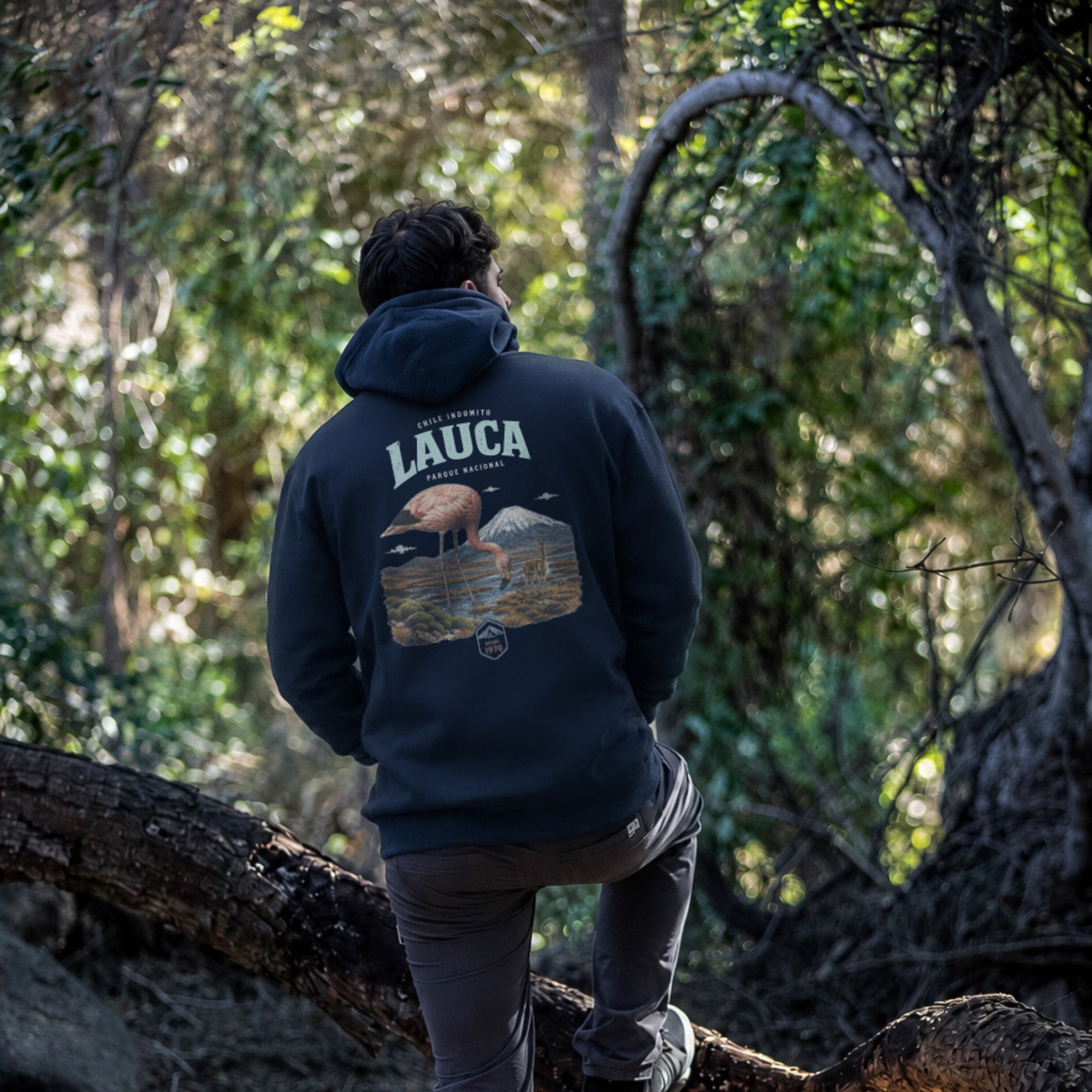 Polerón con gorro Lauca Chile Indómito