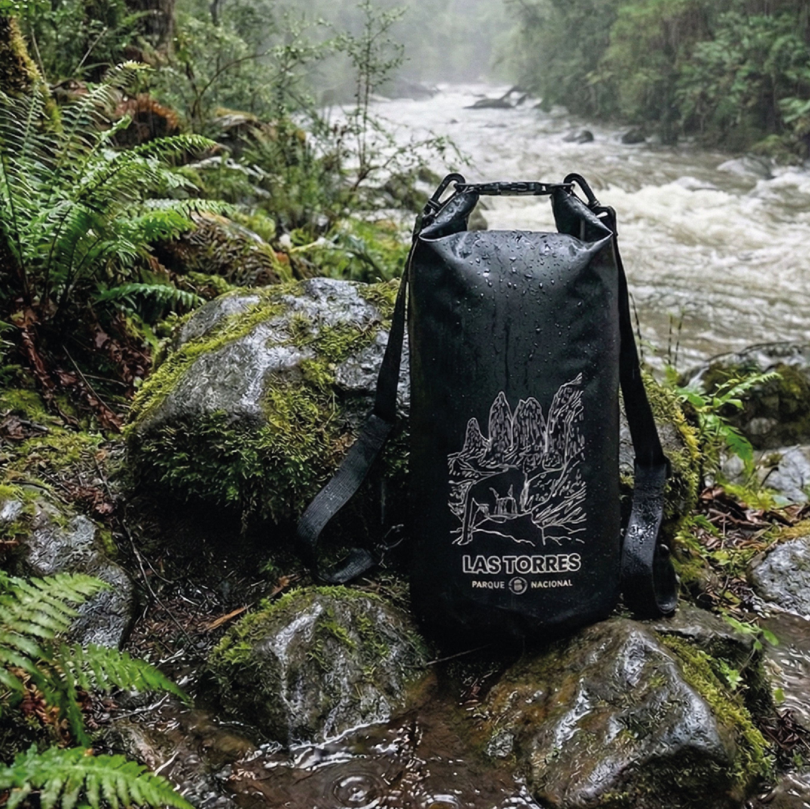 Mochila Bolsa Seca Impermeable 10 Lts Rupanco Torres Puma