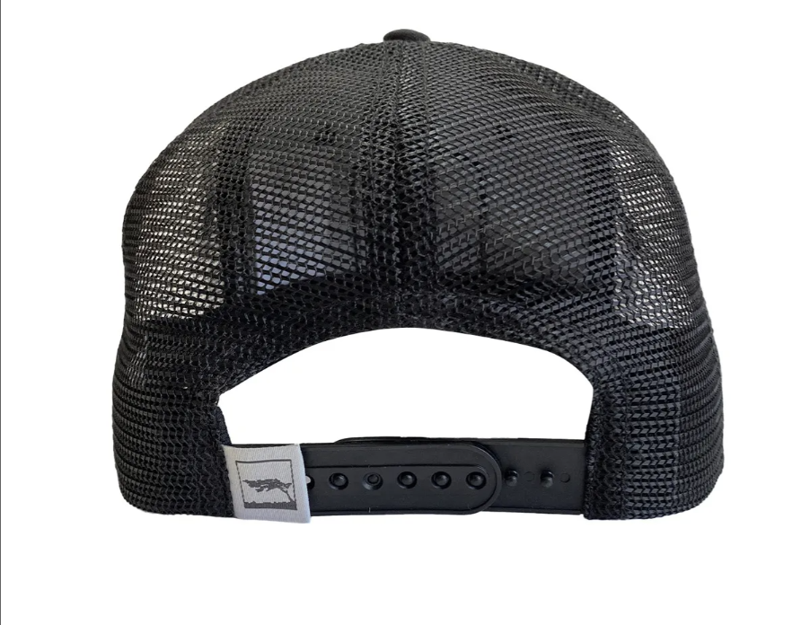 Jockey Trucker Valle de la Luna