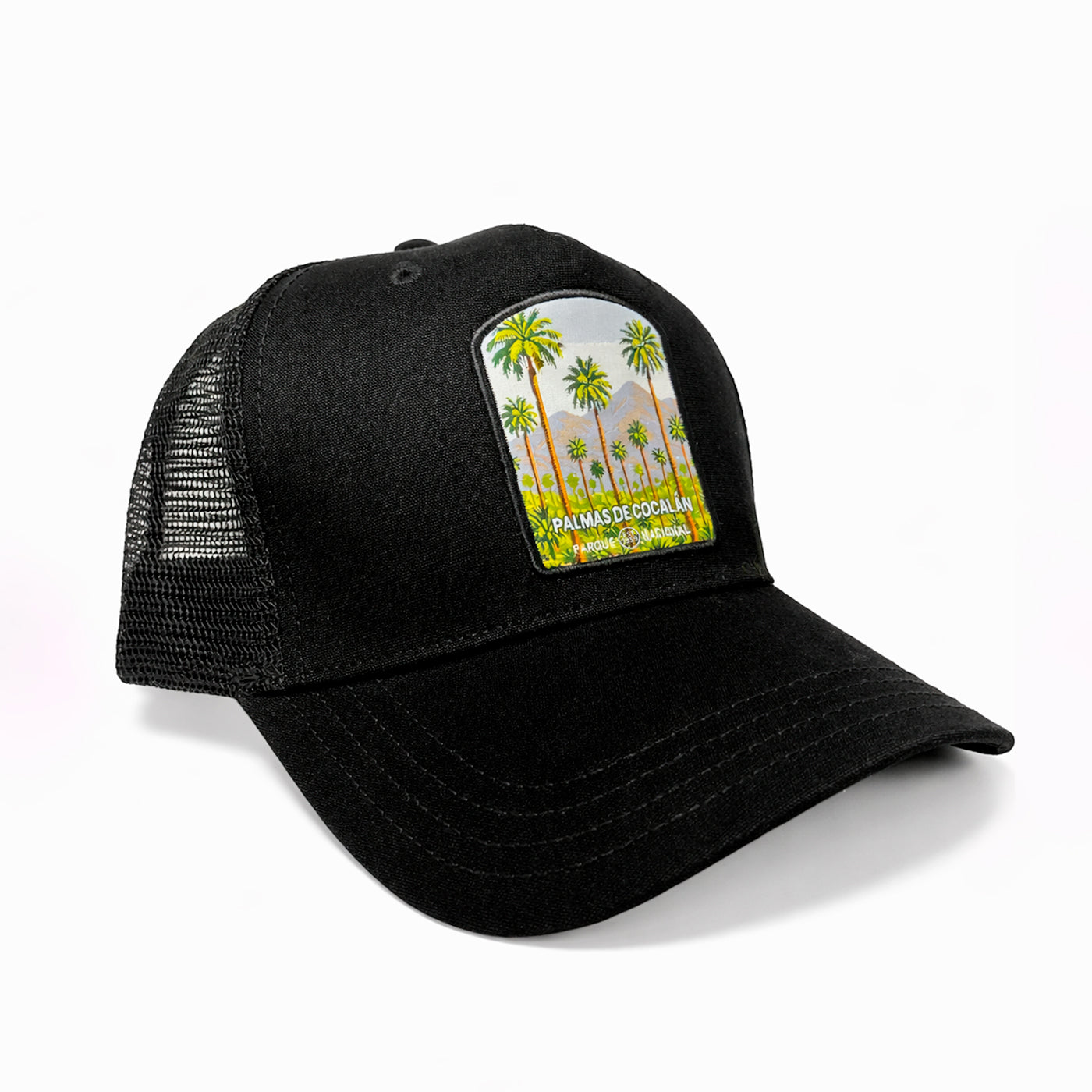 Jockey Trucker Canvas Parque Nacional Palmas de Cocalán