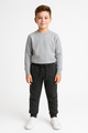 Pantalón Jogger Niño Unisex Algodón Orgánico Pudú