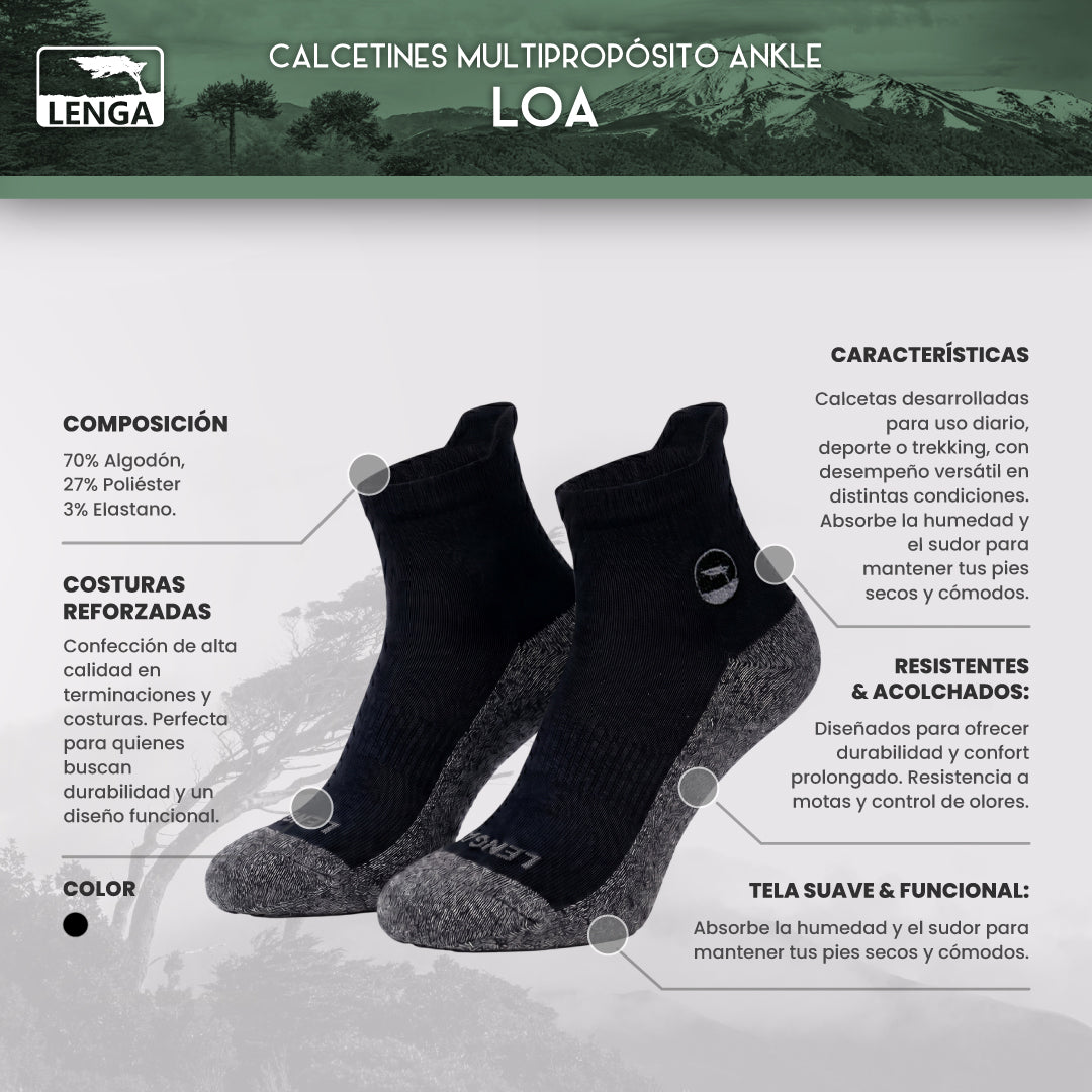 Pack 3 Calcetines Adulto Algodón Spandex Acolchado Loa