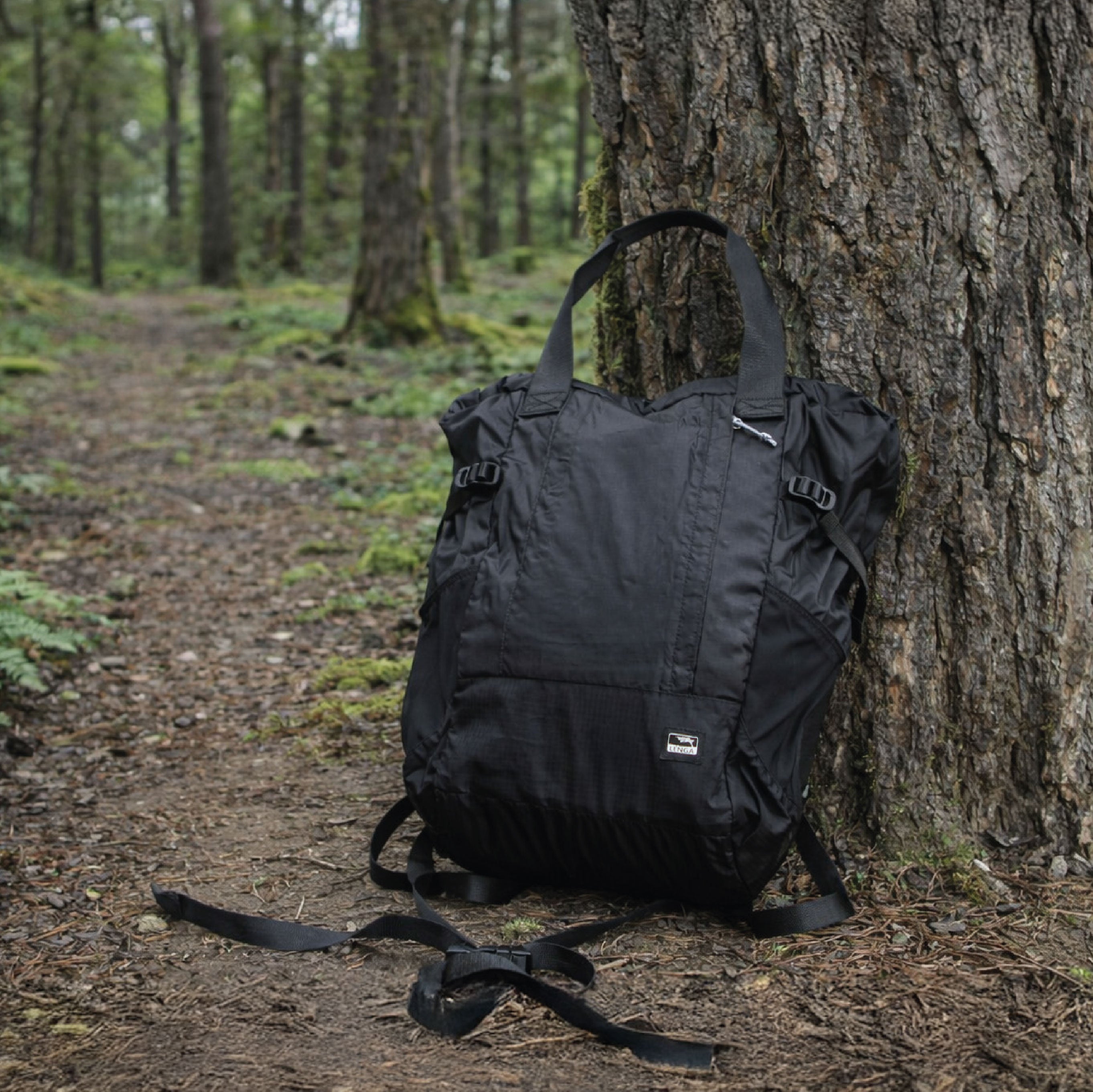 Mochila Bolso Ultra-liviana Petrohué 22Lts