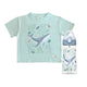 Pack Botella Kids Tritan® 450 ml + Polera Niño Estampada - Ballena Jorobada
