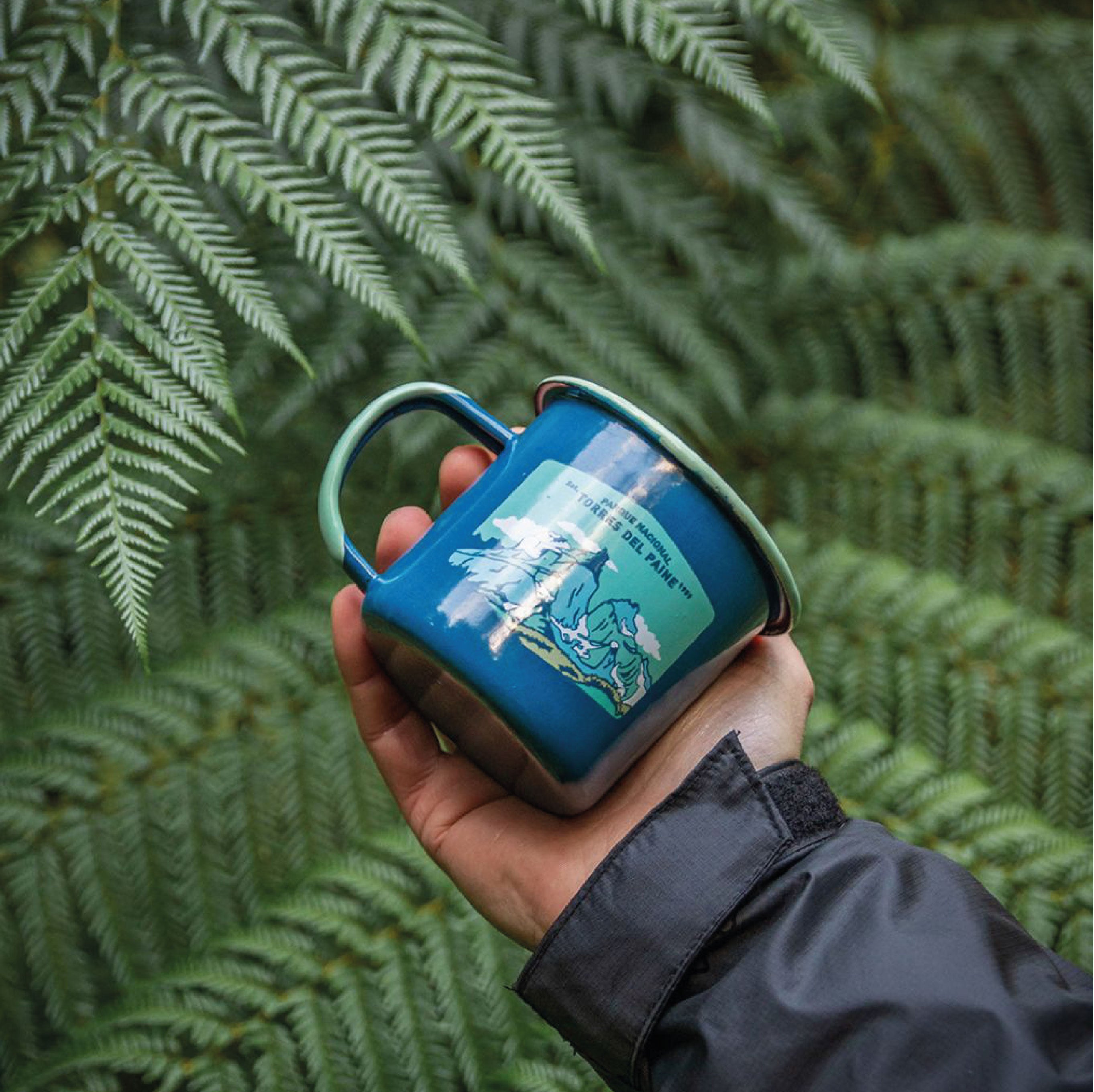 Tazón Acero Torres del Paine 330ml