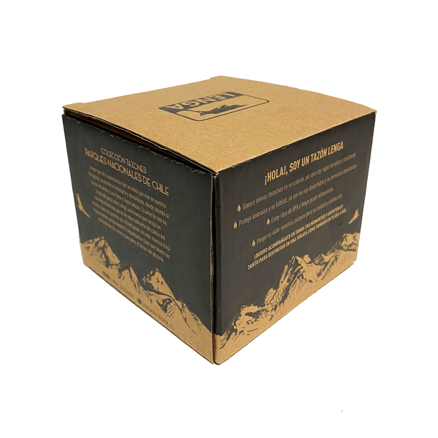 Pack 4 Tazones Esmaltados Parque Nacional Torre del Paine 330ml